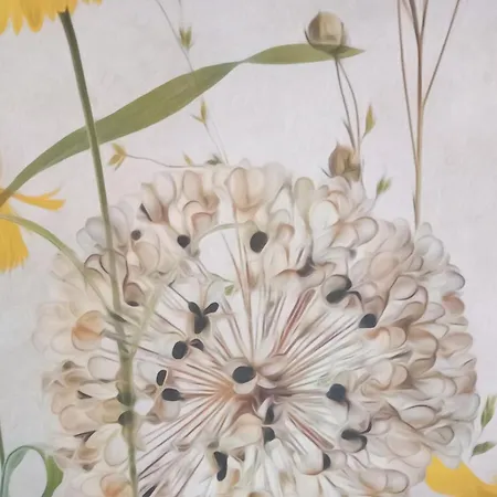 公寓 La Cour Fleurie, Confort