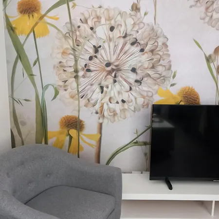 公寓 La Cour Fleurie, Confort 第戎