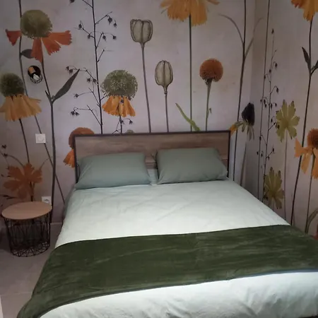 La Cour Fleurie, Confort 公寓