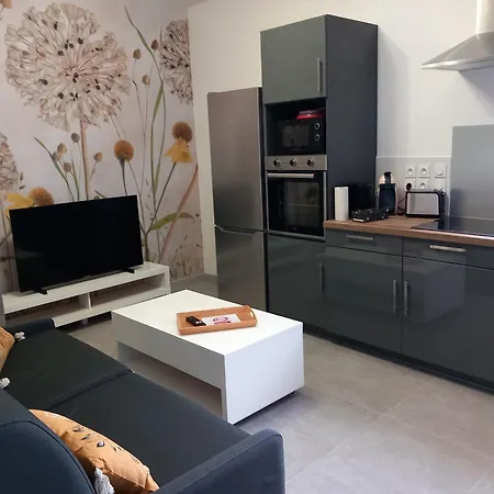 公寓 La Cour Fleurie, Confort 第戎