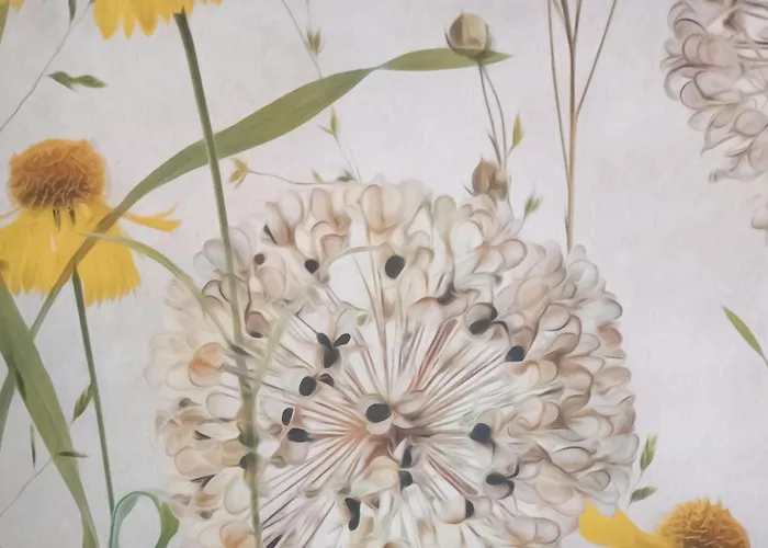 アパート La Cour Fleurie, Confort