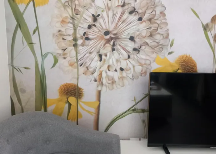 Apartamento La Cour Fleurie, Confort Dijon