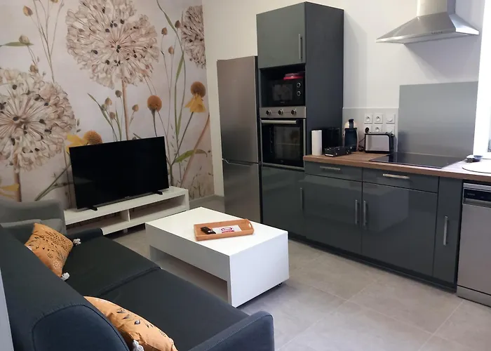 アパート La Cour Fleurie, Confort ディジョン